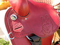 Photo Gallery - Saddles