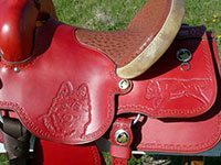 Photo Gallery - Saddles