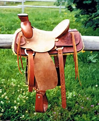 Photo Gallery - Saddles