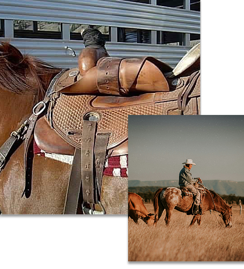 The Cossentine Saddlery Difference.