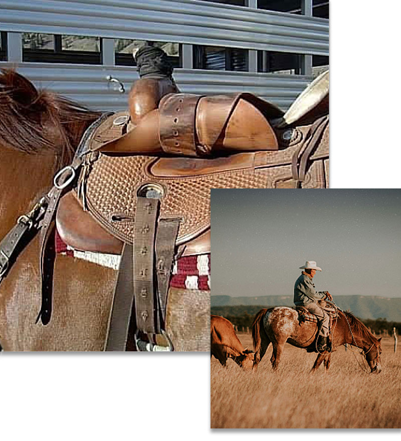 The Cossentine Saddlery Difference.